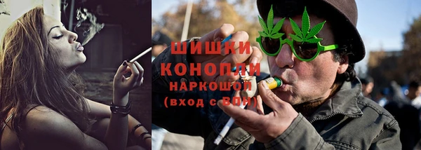 стаф Арсеньев