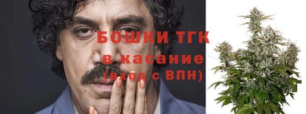 стаф Арсеньев