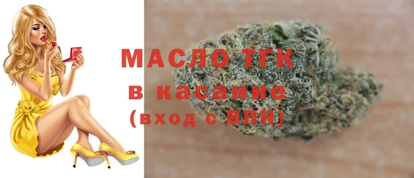 стаф Арсеньев