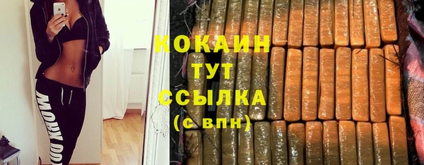 стаф Арсеньев