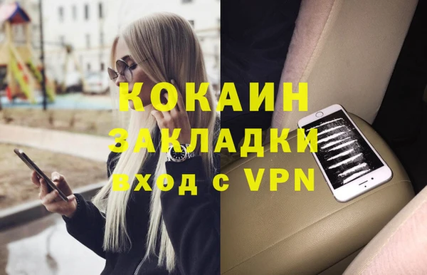 стаф Арсеньев