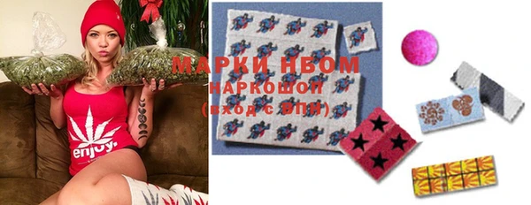 стаф Арсеньев