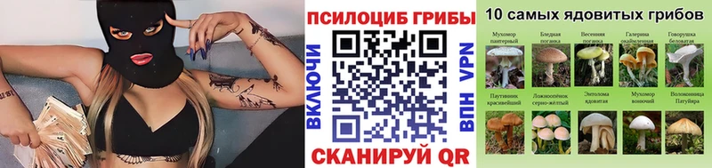 Псилоцибиновые грибы Psilocybe  купить наркотик  Мурманск 